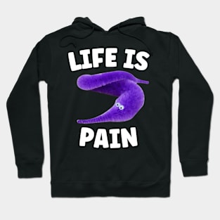 Life is Pain I heart Worm on a String Meme Hoodie